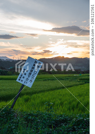 Rural scenery of Sagamihara, countryside at dusk 106122561