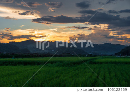 相模原的鄉村風光,黃昏的鄉村 相模原的鄉村風光,黃昏的鄉村 106122569