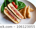 Closeup ham cheese sandwich with potato and salad 106123055
