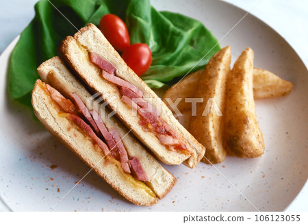 Closeup ham cheese sandwich with potato and salad 106123055