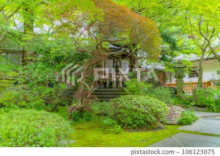 [神奈川縣]被清新的綠色包圍的Kakuonji寺院內*拍攝合作“Kakuonji”財產發布獲得 106123075