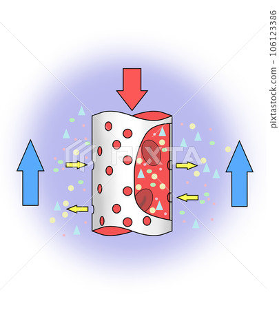 Image illustration of dialyzer 106123386