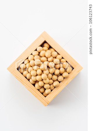 大豆 大豆 106123743