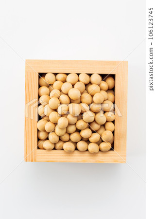 大豆 大豆 106123745
