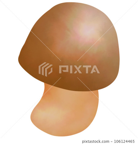 mushroom 106124465