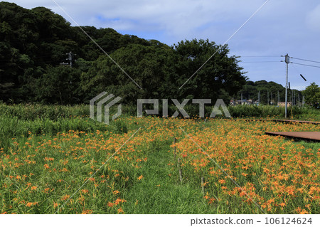 濱甘藏濕地 濱甘藏濕地 106124624