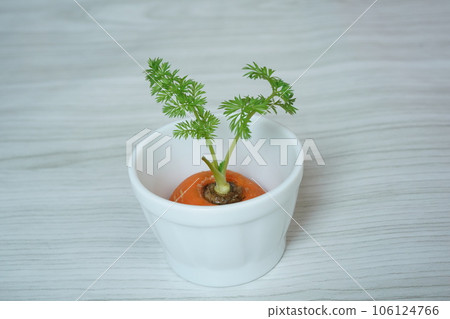 Regenerated vegetables (carrots) Regenerated vegetables (carrots) 106124766