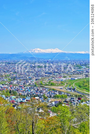 Panoramic view of Asahikawa city, Hokkaido 106124868