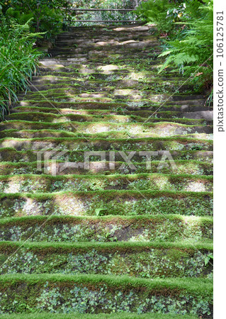 鎌倉妙法寺美麗的苔蘚石階（神奈川縣） 106125781