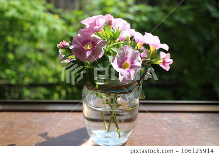 窗台上的粉紅色 calibrachoa 窗台上的粉紅色 calibrachoa 106125914