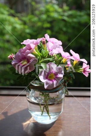 Small pink flowers in an empty bottle 106125919