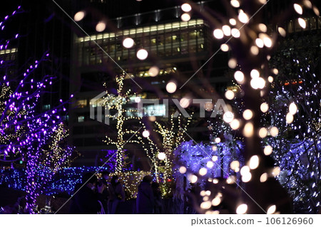 聖誕節和新年的燈飾 106126960