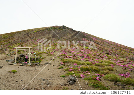 Torii at Takachihomine where Miyama Kirishima blooms Torii at Takachihomine where Miyama Kirishima blooms 106127711