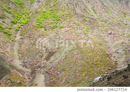 高千穗山的春天景色 106127714