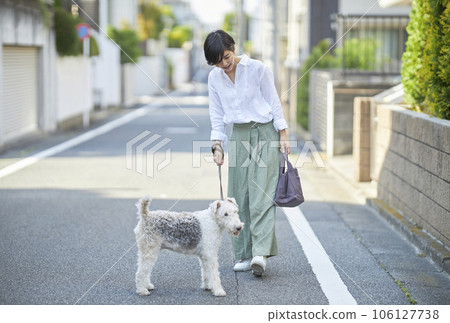 A young woman walking in a residential area with her dog Wire Fox Terrier 106127738