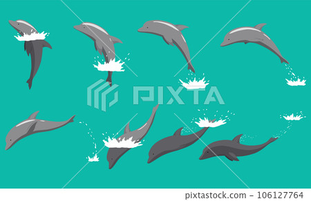 Dolphin jumping out of water animation. Illustration of dolphin performing an acrobatic jump in the ocean. Great for marine life or summer vacation designs 106127764