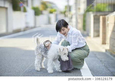 A young woman walking in a residential area with her dog Wire Fox Terrier 106128179