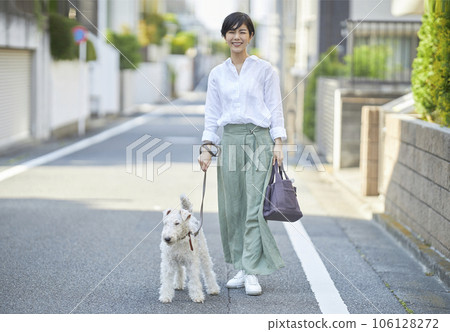 A young woman walking in a residential area with her dog Wire Fox Terrier 106128272