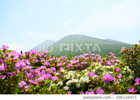 White Miyama Kirishima overlooking Takachiho peak White Miyama Kirishima overlooking Takachiho peak 106128413