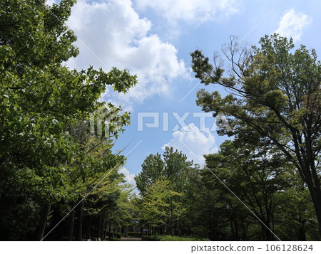 August: Seishin Chuo Park, Nishi Ward, Kobe City, 5 minutes from the station August: Seishin Chuo Park, Nishi Ward, Kobe City, 5 minutes from the station 106128624
