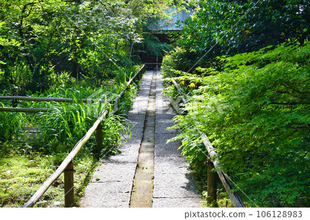 鎌倉妙法寺美麗的院內(神奈川縣) 鎌倉妙法寺美麗的院內(神奈川縣) 106128983
