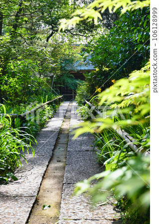 Kamakura Myohoji Temple beautiful precincts (Kanagawa Prefecture) 106128999