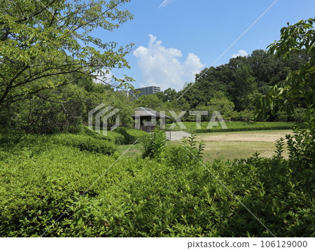 August: Seishin Chuo Park, Nishi Ward, Kobe City, 5 minutes from the station 106129000