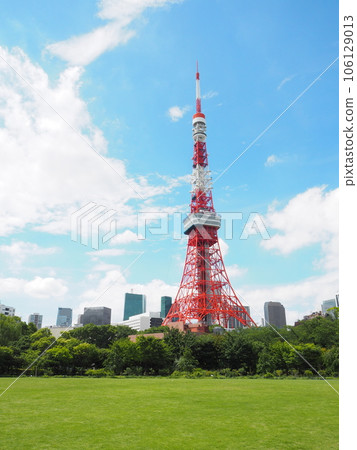Tokyo Tower seen from Shiba Park Tokyo Tower seen from Shiba Park 106129013