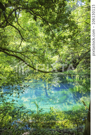 Mr. Maruike Yamagata Tourist Spot 106130115