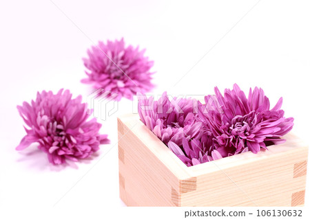 Edible chrysanthemum and masu Edible chrysanthemum and masu 106130632