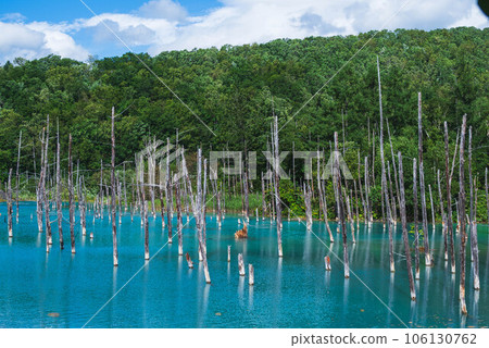 藍色池塘風景 藍色池塘風景 106130762