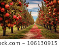 apple orchard rows with autumn colors in background 106130915