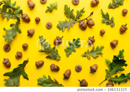 Branch with green oak tree leaves and acorns on colored background, close up top view 106131325