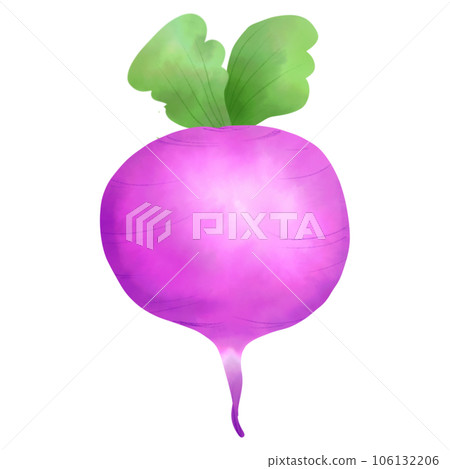 Beetroot 106132206