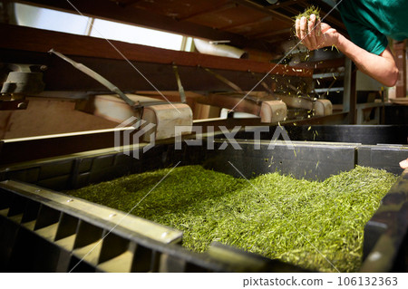Process of sifting unrefined tea at a tea factory Process of sifting unrefined tea at a tea factory 106132363