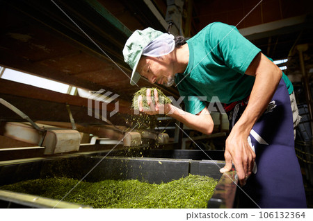 A veteran tea master checking the aroma of unrefined tea at a tea factory 106132364