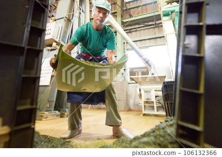 在茶廠工作的男員工 106132366