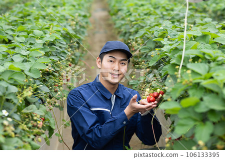 草莓農夫 106133395