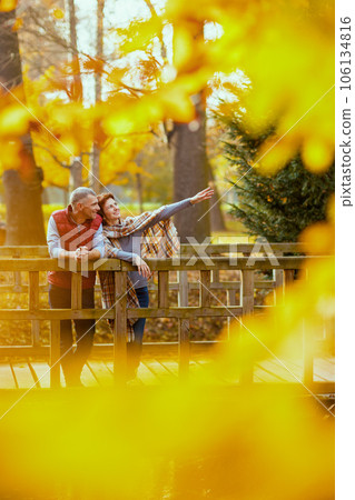 smiling romantic couple in park on bridge smiling romantic couple in park on bridge 106134816