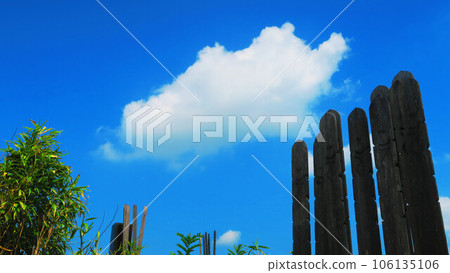 Scenery of a cemetery (cemetery) 106135106