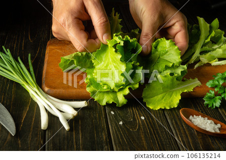 Close-up of a chef hands while picking lettuce leaves on a kitchen board before preparing a vegetarian dinner. Healthy vegetable nutrition for a set of vitamins Close-up of a chef hands while picking lettuce leaves on a kitchen board before preparing a vegetarian dinner. Healthy vegetable nutrition for a set of vitamins 106135214