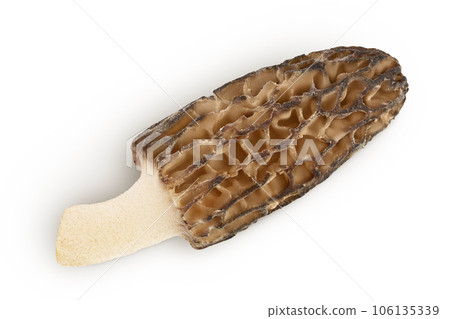 raw morel mushroom isolated on white background with full depth of field. Top view. Flat lay. 106135339