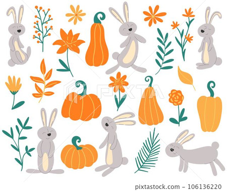 Cute bunnies, herbs and flowers autumn set 106136220