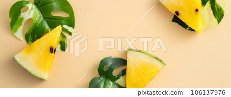 西瓜 小玉 黃色 頂視圖 圖案 Yellow watermelon スイカ 黄色 黄西瓜 黄肉西瓜 西瓜 小玉 黃色 頂視圖 圖案 Yellow watermelon スイカ 黄色 黄西瓜 黄肉西瓜 106137976