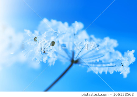 Crystal snow-flowers against the blue sky. Crystal snow-flowers against the blue sky. 106138568