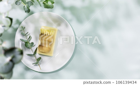 Sustainable home-cleaning concept. Eco friendly natural cleaning dishes with bamboo dish brush and sprig of eucalyptus on white plate on blue background. No plastic, eco-friendly lifestyle. Copy space Sustainable home-cleaning concept. Eco friendly natural cleaning dishes with bamboo dish brush and sprig of eucalyptus on white plate on blue background. No plastic, eco-friendly lifestyle. Copy space 106139434