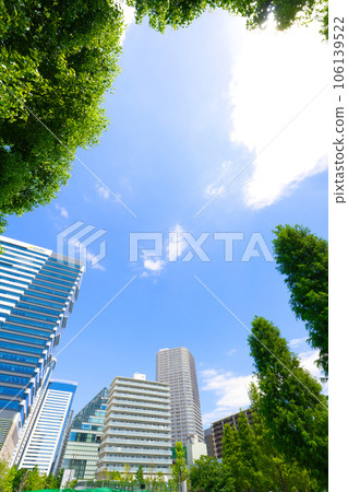 [Tokyo] August: Cityscape of Toyosu with towering high-rise apartments 106139522