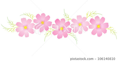 粉紅色的波斯菊花裝飾秋季櫻花秋季框架 106140810