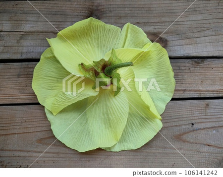 Flower Okra Flower Okra 106141242
