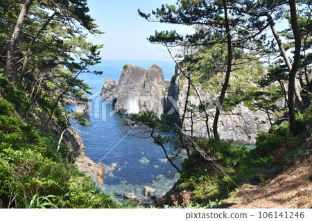 夏天，岩手縣五石岬的千代島 106141246